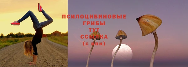 ешки Пересвет